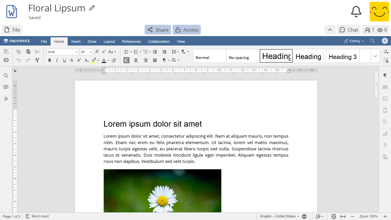 ../../_images/app-document-preview.png