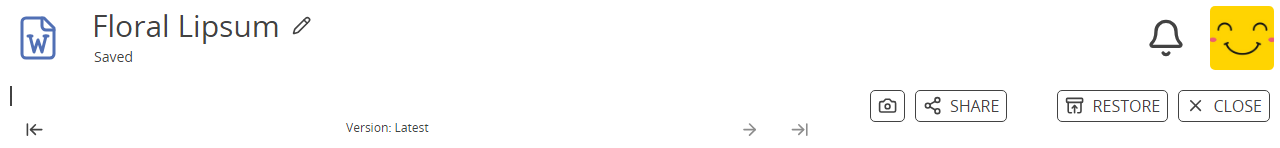 ../../_images/history-toolbar-document.png
